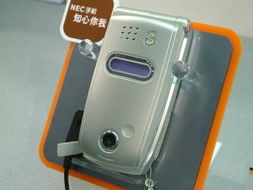 2004年中国国际通信设备技术展 3G手机与软件新纪元